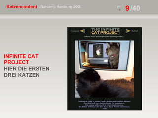 /40 INFINITE CAT PROJECT   HIER DIE ERSTEN  DREI KATZEN  