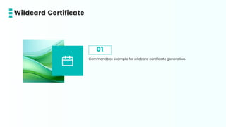 Commandbox example for wildcard certificate generation.
01
Wildcard Certificate
 