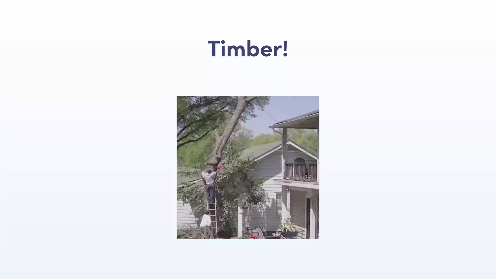 Timber!
 