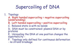 Supercoiling of DNA
1. Topology
   A. Right handed supercoiling = negative supercoiling
   (underwinding)
   B. Left handed supercoiling = positive supercoiling
   C. Relaxed state is with no bends
   D. DNA must be constrained: plasmid DNA or by
   proteins
   E. Unraveling the DNA at one position changes the
   superhelicity -
   F. Topology only defined for continuous deformation
   - no strand breakage
 