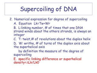 Supercoiling of DNA
2. Numerical expression for degree of supercoiling
   A. Equation Lk=Tw+Wr
   B. L:linking number, # of times that one DNA
   strand winds about the others strands, is always an
   integer
   C. T: twist,# of revolutions about the duplex helix
   D. W: writhe, # of turns of the duplex axis about
   the superhelical axis
      by definition the measure of the degree of
   supercoiling
   E. specific linking difference or superhelical
   density=∆Lk/Lk0
 