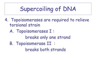 Supercoiling of DNA
4. Topoisomerases are required to relieve
  torsional strain
  A. Topoisomerases I :
          breaks only one strand
  B. Topoisomerase II :
          breaks both strands
 