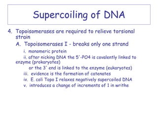 Supercoiling of DNA
4. Topoisomerases are required to relieve torsional
   strain
   A. Topoisomerases I - breaks only one strand
      i. monomeric protein
      ii. after nicking DNA the 5'-PO4 is covalently linked to
   enzyme (prokaryotes)
          or the 3' end is linked to the enzyme (eukaryotes)
      iii. evidence is the formation of catenates
      iv. E. coli Topo I relaxes negatively supercoiled DNA
      v. introduces a change of increments of 1 in writhe
 