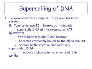 Supercoiling of DNA
4. Topoisomerases are required to relieve torsional
   strain
   B. Topoisomerase II - breaks both strands
      i. supercoils DNA at the expense of ATP
   hydrolysis
      ii. two subunits: (alpha)2 and (beta)2
      iii. becomes covalently linked to the alpha subunit
      iv. relaxes both negative and positively
   supercoiled DNA
      v. introduces a change in increments of 2 in
   writhe.
 