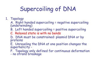 Supercoiling of DNA
1. Topology
   A. Right handed supercoiling = negative supercoiling
   (underwinding)
   B. Left handed supercoiling = positive supercoiling
   C. Relaxed state is with no bends
   D. DNA must be constrained: plasmid DNA or by
   proteins
   E. Unraveling the DNA at one position changes the
   superhelicity -
   F. Topology only defined for continuous deformation
   - no strand breakage
 
