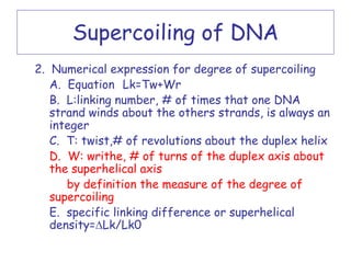 Supercoiling of DNA
2. Numerical expression for degree of supercoiling
   A. Equation Lk=Tw+Wr
   B. L:linking number, # of times that one DNA
   strand winds about the others strands, is always an
   integer
   C. T: twist,# of revolutions about the duplex helix
   D. W: writhe, # of turns of the duplex axis about
   the superhelical axis
      by definition the measure of the degree of
   supercoiling
   E. specific linking difference or superhelical
   density=∆Lk/Lk0
 