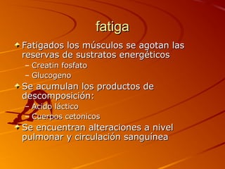 fatigafatiga
Fatigados los músculos se agotan lasFatigados los músculos se agotan las
reservas de sustratos energéticosreservas de sustratos energéticos
– Creatin fosfatoCreatin fosfato
– GlucogenoGlucogeno
Se acumulan los productos deSe acumulan los productos de
descomposición:descomposición:
– Acido lácticoAcido láctico
– Cuerpos cetonicosCuerpos cetonicos
Se encuentran alteraciones a nivelSe encuentran alteraciones a nivel
pulmonar y circulación sanguíneapulmonar y circulación sanguínea
 