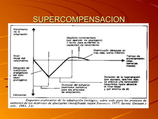 SUPERCOMPENSACIONSUPERCOMPENSACION
 