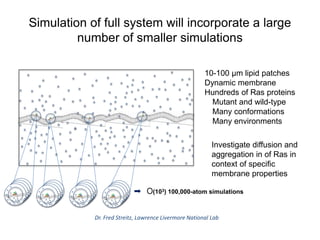 Simulation of full system will incorporate a large
number of smaller simulations
O(103) 100,000-atom simulations
10-100 µm lipid patches
Dynamic membrane
Hundreds of Ras proteins
Mutant and wild-type
Many conformations
Many environments
Investigate diffusion and
aggregation in of Ras in
context of specific
membrane properties
Dr. Fred Streitz, Lawrence Livermore National Lab
 