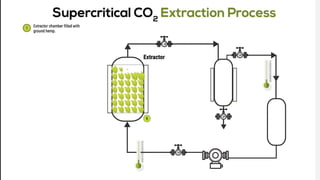 Scfe Extractor Super Critical Fluid Extraction (SCFE) Ppt.pptx