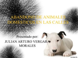 ABANDONO DE ANIMALES
DOMESTICOS EN LAS CALLES
Presentado por:
JULIAN ARTURO VERGARA
MORALES
 