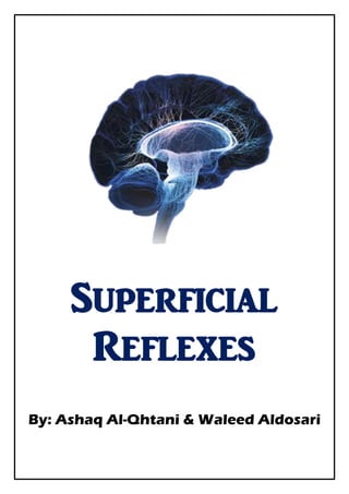 Superficial
Reflexes
By: Ashaq Al-Qhtani & Waleed Aldosari
 
