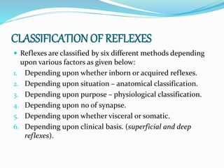 Superficial and deep reflexes! | PPTX