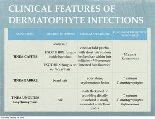 Endotrix Superficial:cutaneous mycoses | PDF