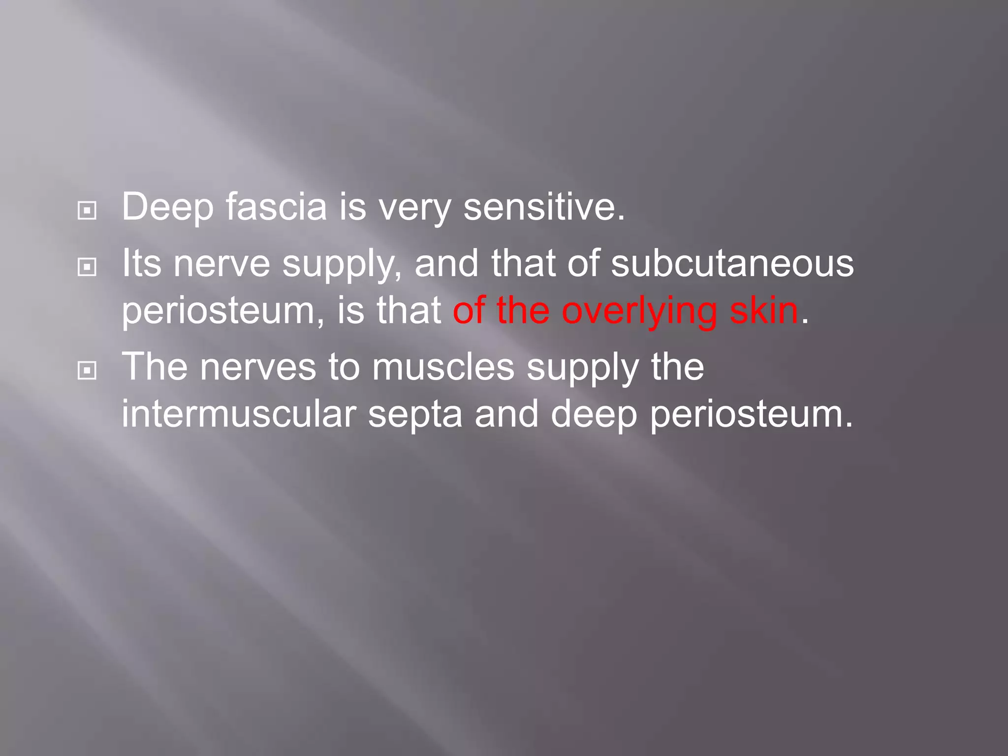  Deep fascia is very sensitive.
 Its nerve supply, and that of subcutaneous
periosteum, is that of the overlying skin.
 The nerves to muscles supply the
intermuscular septa and deep periosteum.
 