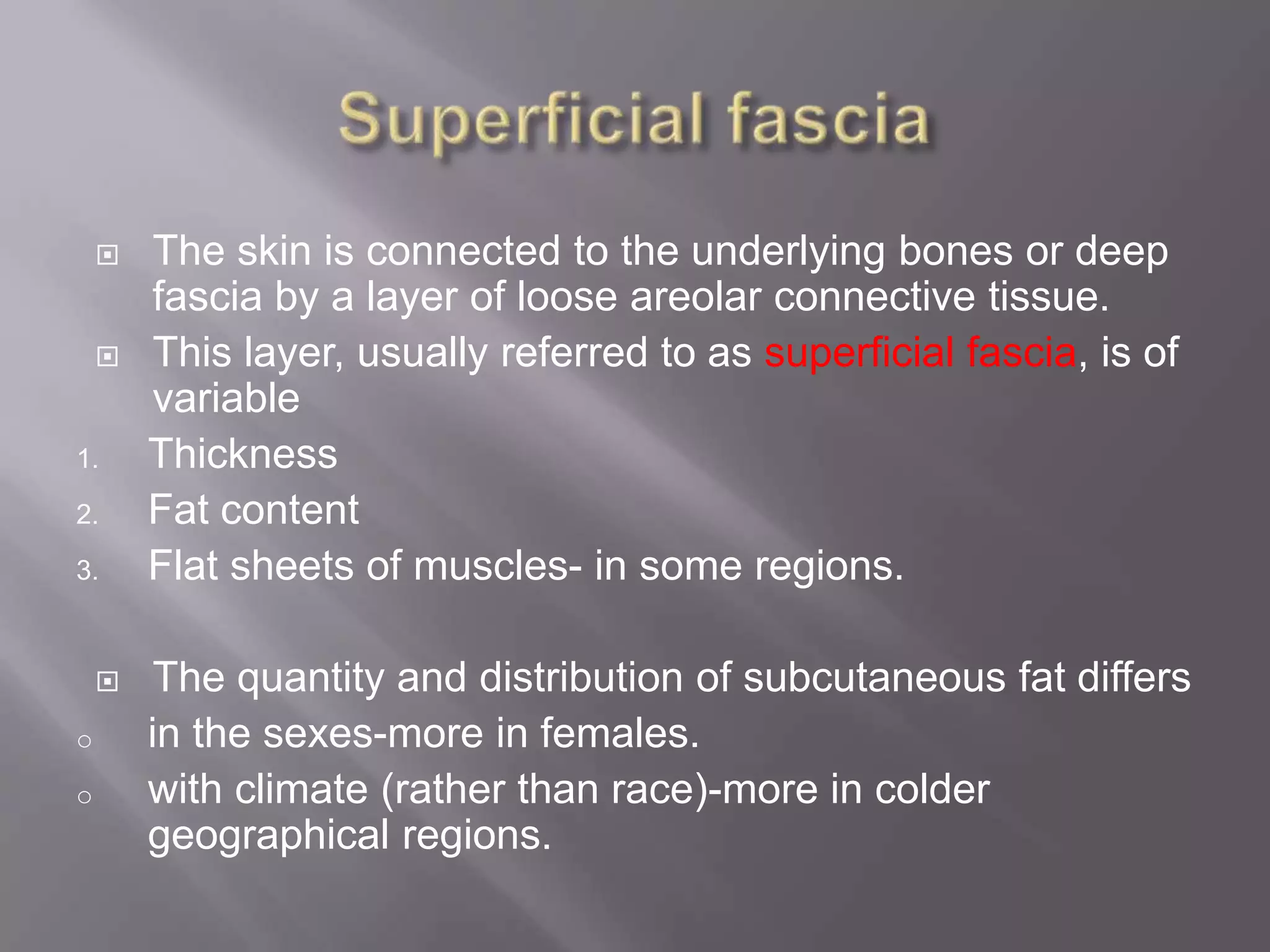  The skin is connected to the underlying bones or deep
fascia by a layer of loose areolar connective tissue.
 This layer, usually referred to as superficial fascia, is of
variable
1. Thickness
2. Fat content
3. Flat sheets of muscles- in some regions.
 The quantity and distribution of subcutaneous fat differs
o in the sexes-more in females.
o with climate (rather than race)-more in colder
geographical regions.
 