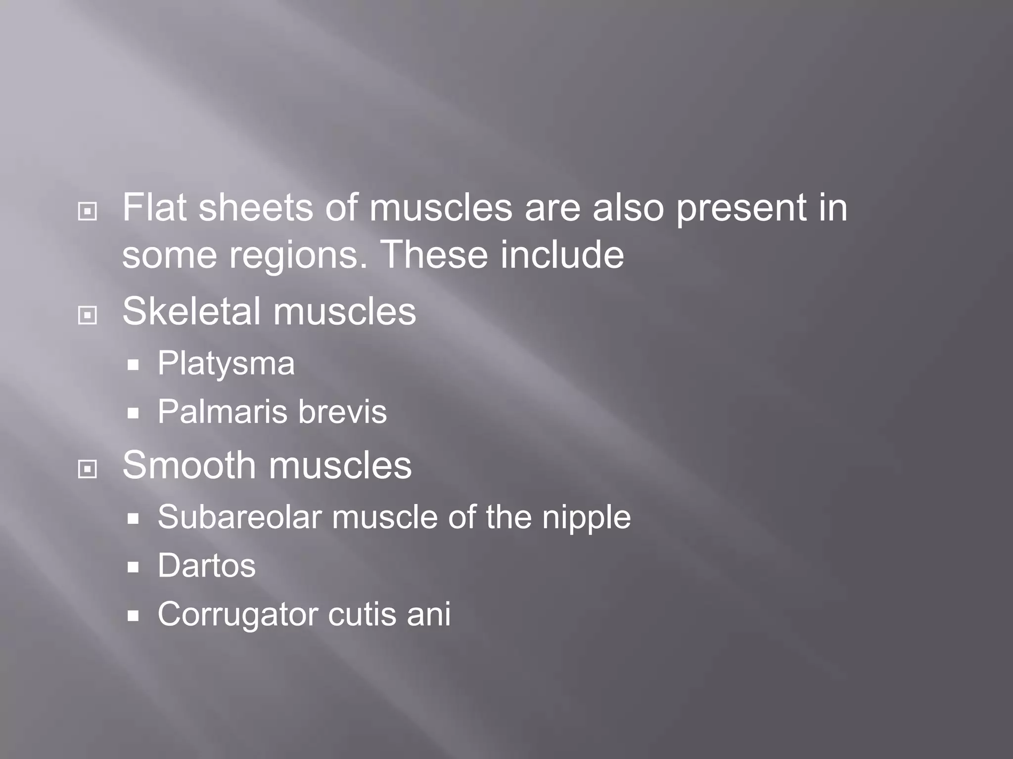  Flat sheets of muscles are also present in
some regions. These include
 Skeletal muscles
 Platysma
 Palmaris brevis
 Smooth muscles
 Subareolar muscle of the nipple
 Dartos
 Corrugator cutis ani
 