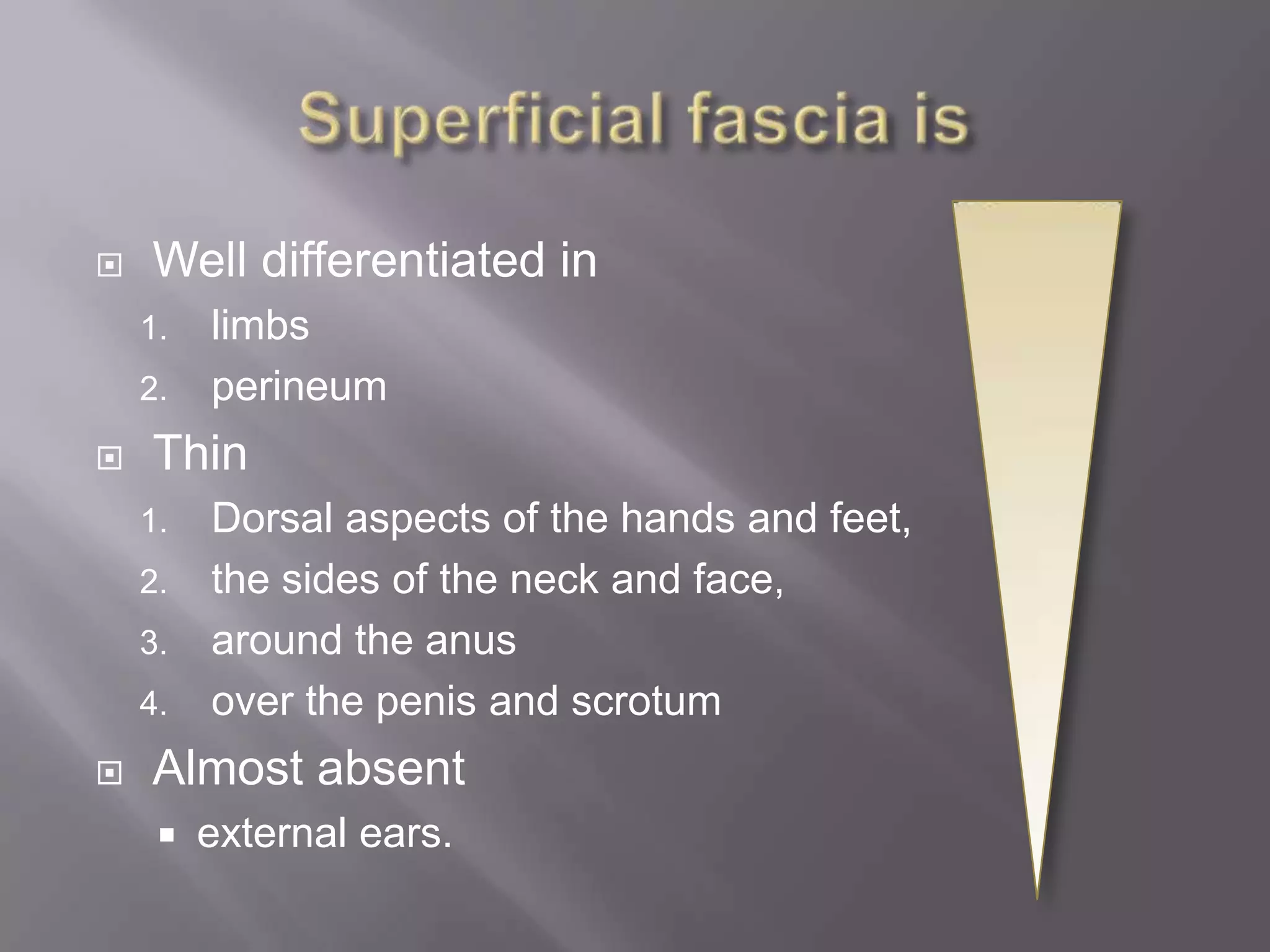 Well differentiated in
1. limbs
2. perineum
 Thin
1. Dorsal aspects of the hands and feet,
2. the sides of the neck and face,
3. around the anus
4. over the penis and scrotum
 Almost absent
 external ears.
 