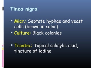 Tinea nigra

 Micr.: Septate hyphae and yeast
  cells (brown in color)
 Culture: Black colonies

 Treatm.: Topical salicylic acid,
 tincture of iodine
 