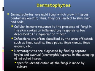 Dermatophytes
   Dermatophytes are mold fungi which grow in tissues
    containing keratin; Thus, they are limited to skin, hair
    and nails.
     Cellular immune response to the presence of fungi in
      the skin evokes an inflammatory response often
      described as “ ringworm” or “tinea”
     Infections are often classified by the area affected;
      such as tinea capitis, tinea pedis, tinea manus, tinea
      ungium, etc.
     Dermatophytes are diagnosed by finding septate
      hypha and asexual (anamorphic) spores in the scraping
      of infected tissue.
       specific identification of the fungi is made by
        culture
 