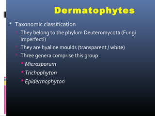 Dermatophytes
 Taxonomic classification
   They belong to the phylum Deuteromycota (Fungi
    Imperfecti)
   They are hyaline moulds (transparent / white)
   Three genera comprise this group
     Microsporum
     Trichophyton
     Epidermophyton
 