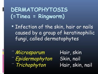 DERMATOPHYTOSIS
(=Tinea = Ringworm)
 Infection of the skin, hair or nails
 caused by a group of keratinophilic
 fungi, called dermatophytes

¨ Microsporum         Hair, skin
¨ Epidermophyton      Skin, nail
¨ Trichophyton        Hair, skin, nail
 