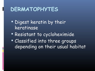DERMATOPHYTES

 Digest keratin by their
  keratinase
 Resistant to cycloheximide
 Classified into three groups
  depending on their usual habitat
 