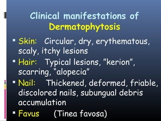 Clinical manifestations of
         Dermatophytosis
 Skin: Circular, dry, erythematous,
  scaly, itchy lesions
 Hair: Typical lesions, ”kerion”,
  scarring, “alopecia”
 Nail: Thickened, deformed, friable,
  discolored nails, subungual debris
  accumulation
 Favus     (Tinea favosa)
 