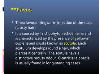 **Favus

 Tinea favosa - ringworm infection of the scalp
  (crusty hair)
 It is caused by Trichophyton schoenleinii and
  is characterized by the presence of yellowish,
  cup-shaped crusts known as scutula. Each
  scutulum develops round a hair, which
  pierces it centrally. The scutula have a
  distinctive mousy odour. Cicatricial alopecia
  is usually found in long-standing cases.
 