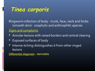 Tinea corporis
Ringworm infection of body - trunk, face, neck and limbs
  (smooth skin) - zoophylic and anthrophilic species
Signs and symptoms
 Annular lesions with raised borders and central clearing
 Exposed surfaces of body
 Intense itching-distinguishes it from other ringed
  lesions
Differential diagnosis - dermatitis
 
