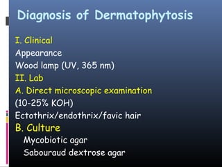 Diagnosis of Dermatophytosis
I. Clinical
Appearance
Wood lamp (UV, 365 nm)
II. Lab
A. Direct microscopic examination
(10-25% KOH)
Ectothrix/endothrix/favic hair
B. Culture
  Mycobiotic agar
  Sabouraud dextrose agar
 