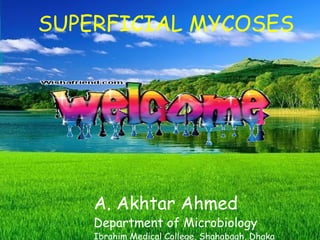 SUPERFICIAL MYCOSES




    A. Akhtar Ahmed
    Department of Microbiology
    Ibrahim Medical College, Shahabagh, Dhaka
 