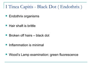 Endotrix Superficial fungal infections | PPT