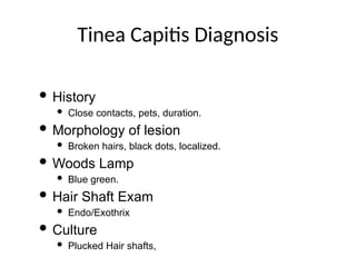Comprehensive Overview of Superficial Fungal Infections and Their ...