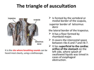 Superficial muscles of back | PPT