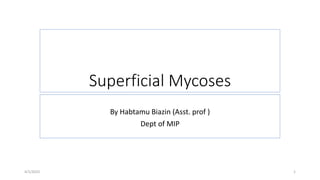 Superficial Mycoses
By Habtamu Biazin (Asst. prof )
Dept of MIP
4/1/2023 1
 