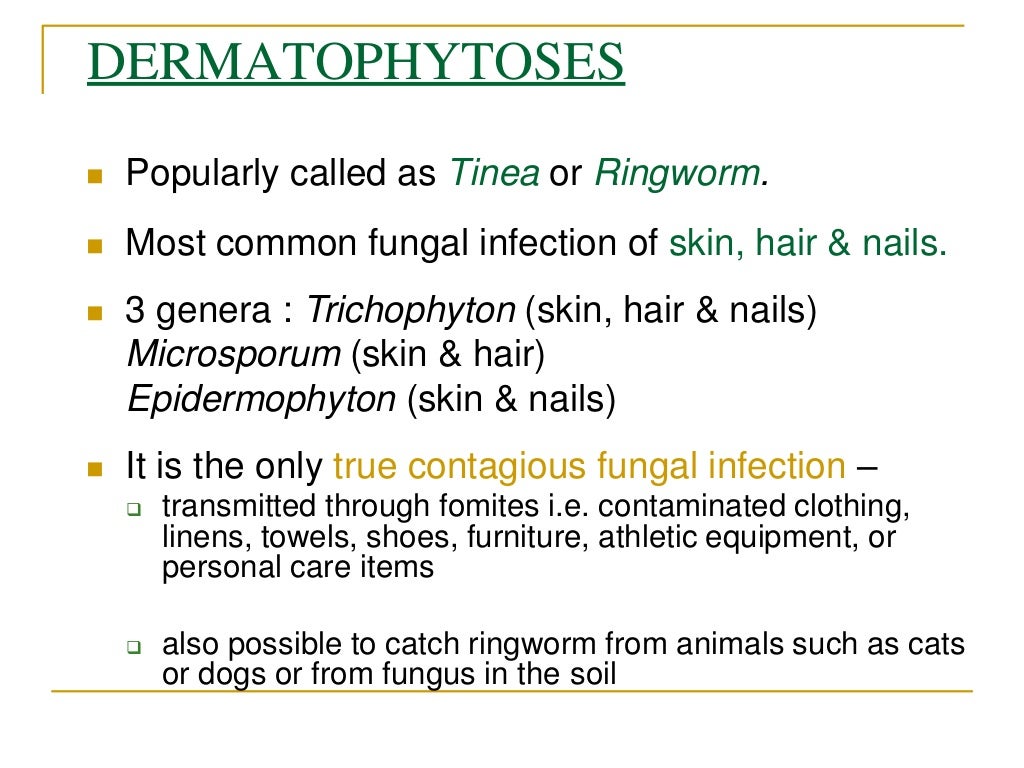 Superficial mycosis