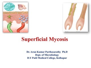 Dr. Arun Kumar Parthasarathy Ph.D
Dept. of Microbiology
D.Y Patil Medical College, Kolhapur
Superficial Mycosis
 