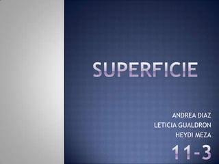 ANDREA DIAZ
LETICIA GUALDRON
       HEYDI MEZA
 