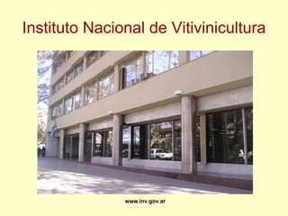 Instituto Nacional de Vitivinicultura www.inv.gov.ar 