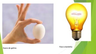 Huevo de gallina
Foco o bombilla
 