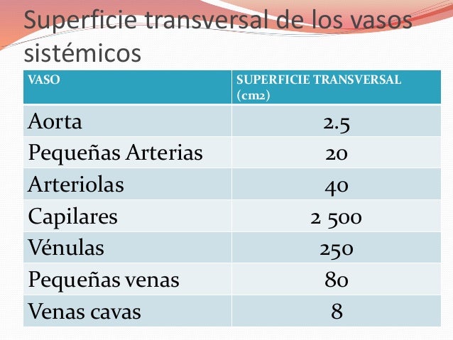 Resultado de imagen para superficie transversal vascular