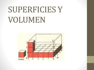 SUPERFICIES Y
VOLUMEN
 