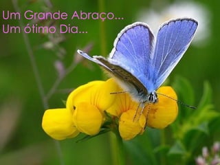 Um Grande Abraço...  Um ótimo Dia... 