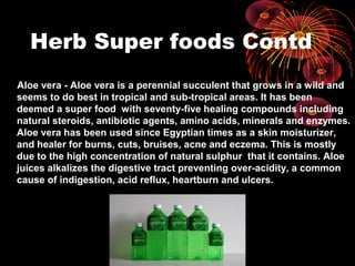 Herb Super foods Contd
Aloe vera - Aloe vera is a perennial succulent that grows in a wild and
seems to do best in tropical and sub-tropical areas. It has been
deemed a super food with seventy-five healing compounds including
natural steroids, antibiotic agents, amino acids, minerals and enzymes.
Aloe vera has been used since Egyptian times as a skin moisturizer,
and healer for burns, cuts, bruises, acne and eczema. This is mostly
due to the high concentration of natural sulphur that it contains. Aloe
juices alkalizes the digestive tract preventing over-acidity, a common
cause of indigestion, acid reflux, heartburn and ulcers.
 
