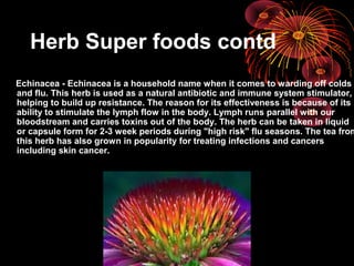 Herb Super foods contd
Echinacea - Echinacea is a household name when it comes to warding off colds
and flu. This herb is used as a natural antibiotic and immune system stimulator,
helping to build up resistance. The reason for its effectiveness is because of its
ability to stimulate the lymph flow in the body. Lymph runs parallel with our
bloodstream and carries toxins out of the body. The herb can be taken in liquid
or capsule form for 2-3 week periods during "high risk" flu seasons. The tea from
this herb has also grown in popularity for treating infections and cancers
including skin cancer.
 