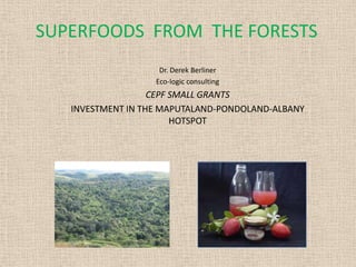 SUPERFOODS FROM THE FORESTS
Dr. Derek Berliner
Eco-logic consulting

CEPF SMALL GRANTS
INVESTMENT IN THE MAPUTALAND-PONDOLAND-ALBANY
HOTSPOT

 