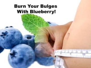 Burn Your Bulges
 With Blueberry!
 
