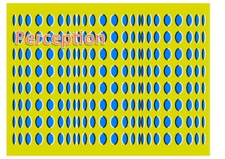 Superformance   bart schutz - emerce performance 2011