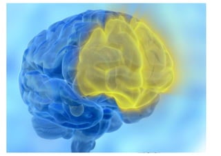 Superformance   bart schutz - emerce performance 2011